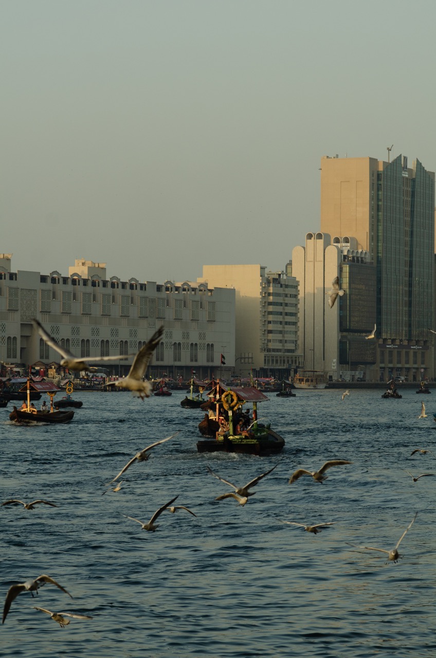 Превью Dubai 2022